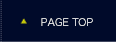 pagetop